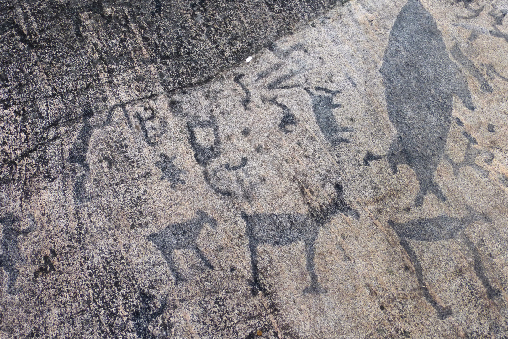 Belomorsk_petroglyphs23.jpg