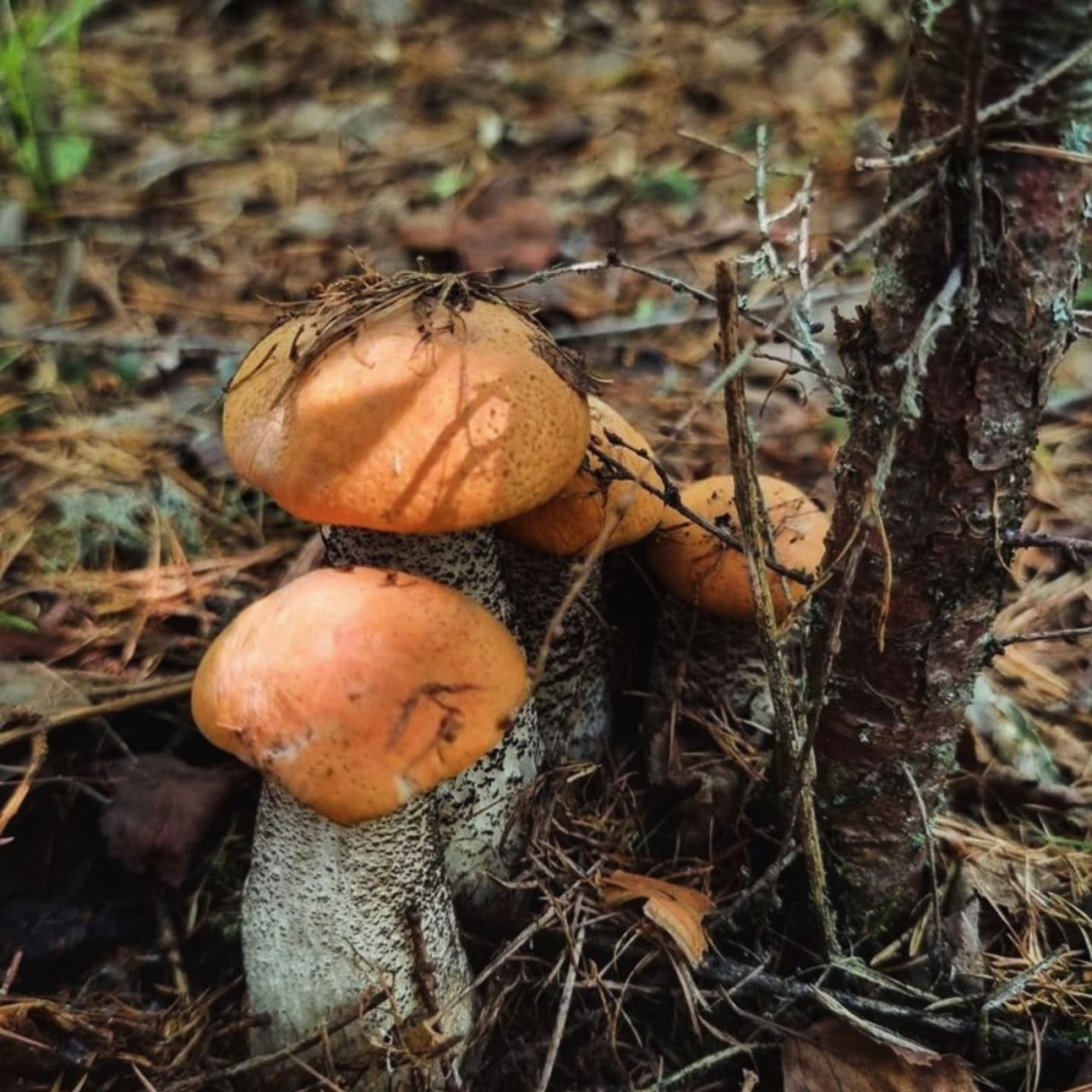 photo_2026-02-06_17-27-12.jpg photo_2026-02-06_17-27-12.jpg